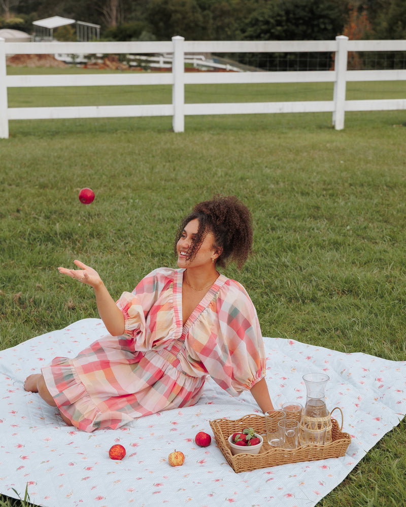 Picnic Rug - Blue Garden Stripe