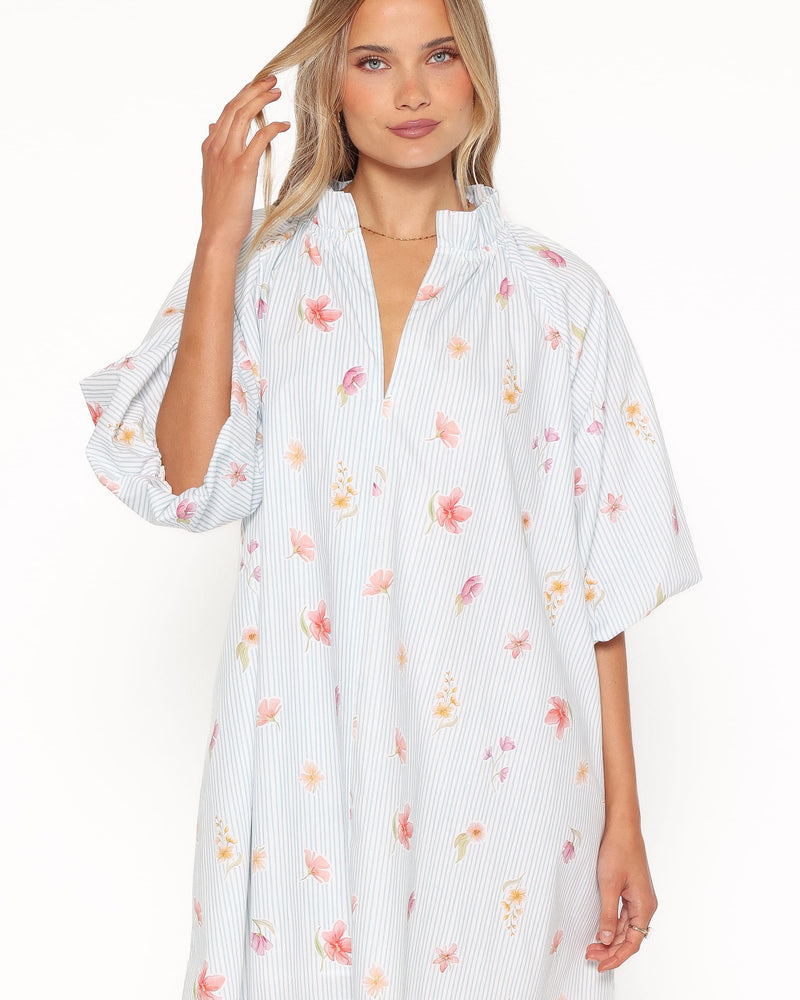 Doran Mini Dress - Blue Garden Stripe