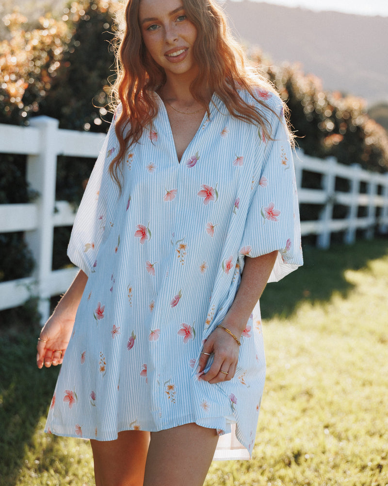 Doran Mini Dress - Blue Garden Stripe