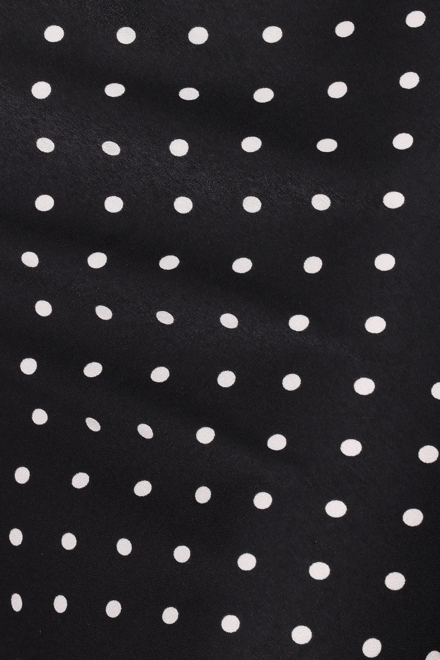 Ailbhe Lace Skirt - Black Polka Dot