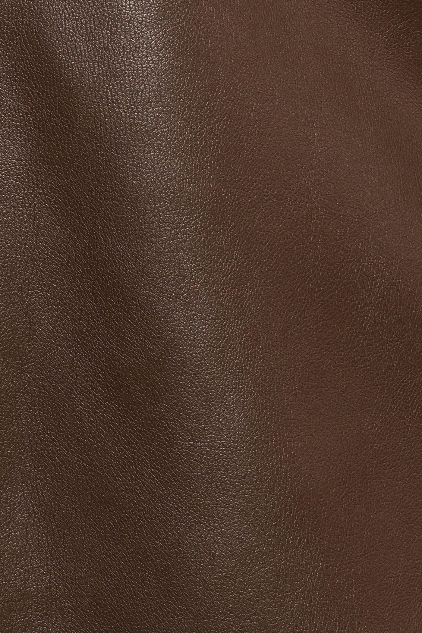 Haelee Faux Leather Skirt - Brown