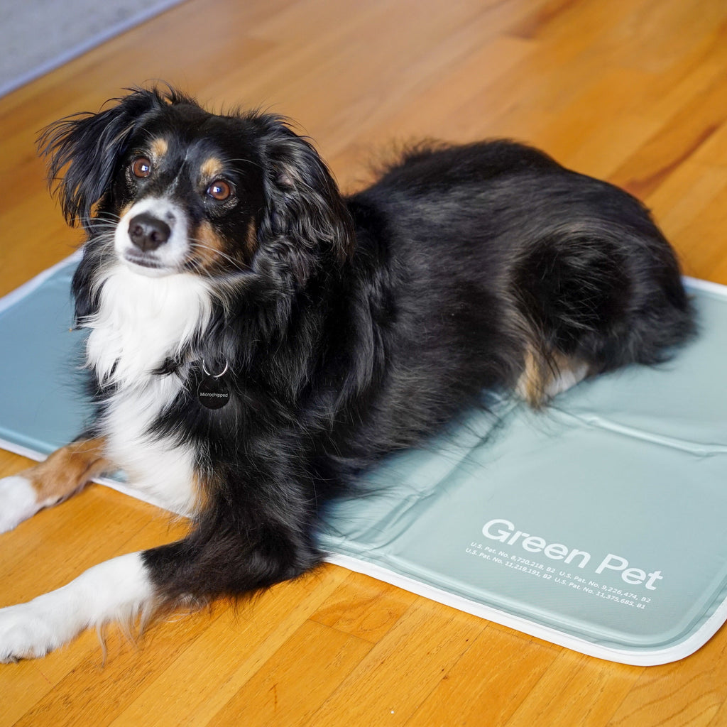 Cool Pet Pad